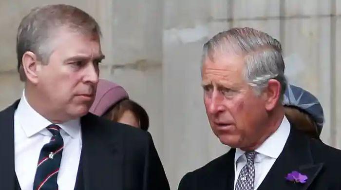 Prince Charles’s ‘huge Undertaking’ For Prince Andrew’s Settlement ...