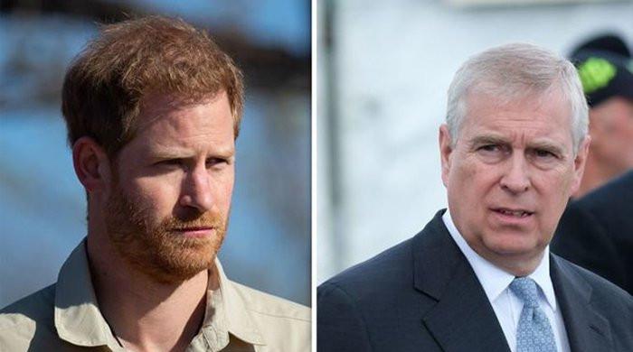 Prince Harry Could Be Questioned On Prince Andrew Amid Memoir Release