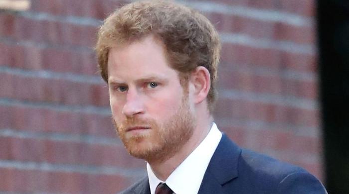 Prince Harry ‘destructive’ To Royal Family