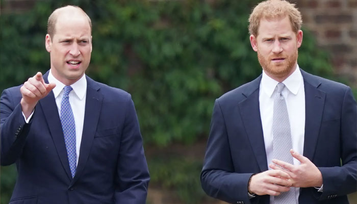 Prince Harry and Meghans fans face backlash for targeting William