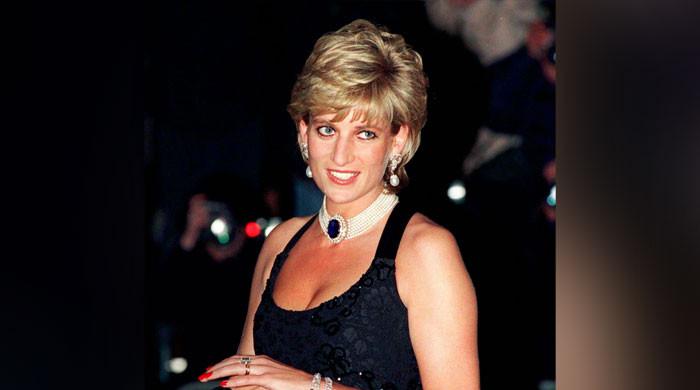 What was Princess Diana's last meal before her death?