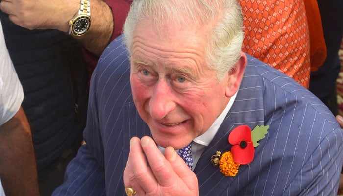 Prince Charles sausage fingers worry fans as Queen gets frailer