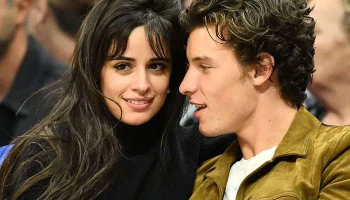 Shawn Mendes working through breakup with Camila Cabello with new ...