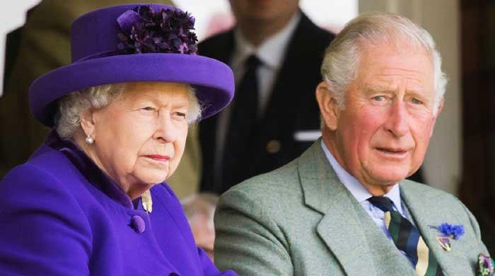 Queen role as 'Zoom monarch' analysed amid health concerns