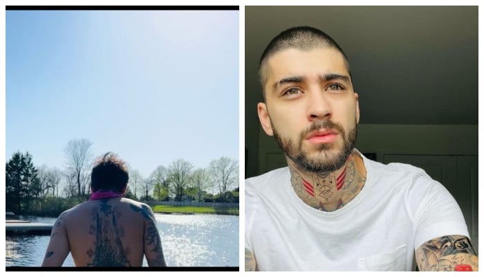Zayn Malik Shows Off His Ripped Physique In New Shirtless Photo 