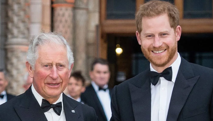 Prince Harry approached Prince Charles before he flew back to UK with Meghan Markle