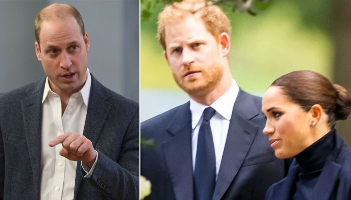 Prince William finds Prince Harry, Meghan Markle’s ‘nerve to waltz back ...