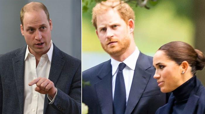 Prince William finds Prince Harry, Meghan Markle’s ‘nerve to waltz back ...