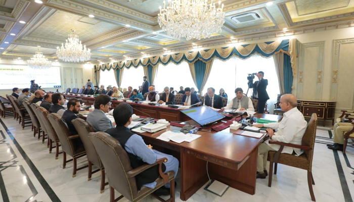 Prime Minister Shehbaz Sharif chairing the National Economic Council (NEC), on June 8, 2022. — PM Office