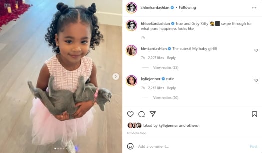 Khloé Kardashian posts daughter True’s cute snaps with pet cat, ‘pure happiness’