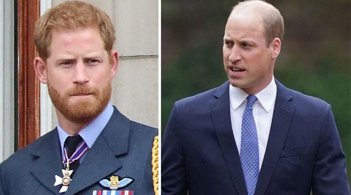 Prince Harry Being ‘coached’ In Royal Relations Before Reaching Out To ...