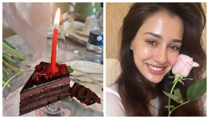 Inside Disha Patani S 30th Birthday Celebrations World11 News