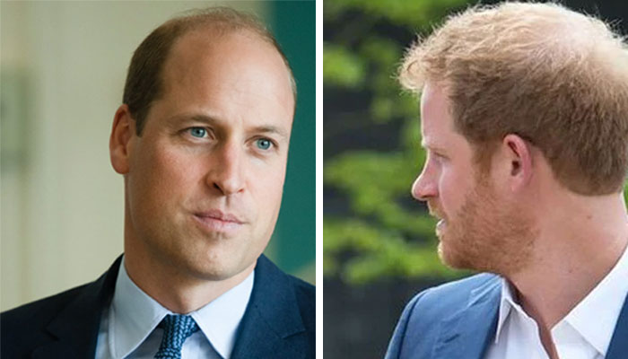 Prince William, Prince Harry rift hit with grave warning by Palace ...