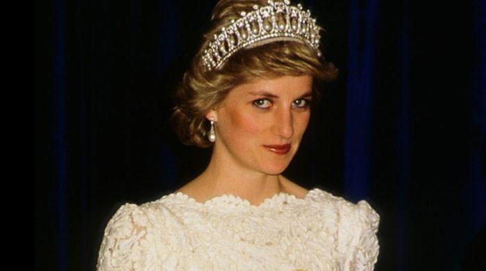 Princess Diana’s relationship with staff angered royal household: Here ...
