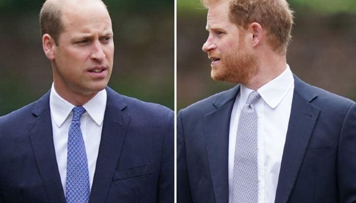 Prince Harry ‘vows’ To ‘destroy’ Prince William With Memoir Release