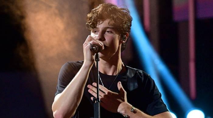 Shawn Mendes joins therapy to help improve mental health issue, reveals ...