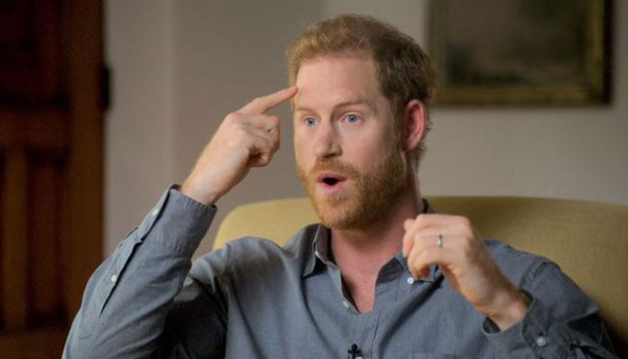 Prince Harry big advance from Netflix mocked amid poverty UN speech