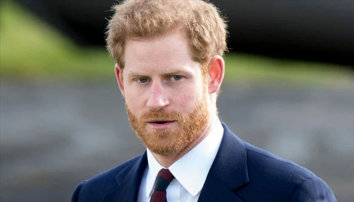 ‘Prince of nobody’ Harry blasted for political talks: report