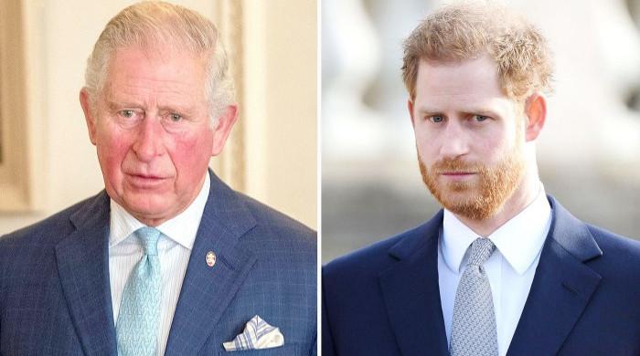 Prince Harry Blasted For Snubbing Prince Charles From Key Un Moment