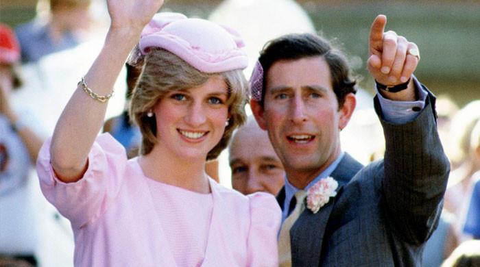 Inside 'shocking' Plot To 'kill Diana And Charles' Amid Duran Duran Show