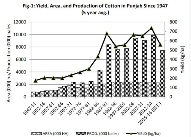 Fatima Fertilizer makes a nostalgic appeal to revive cotton production