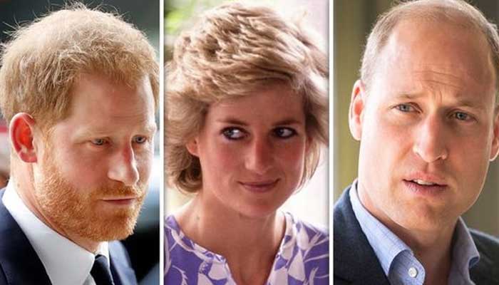 Princess Diana's Bodyguard: Prince Harry Should Have Protection