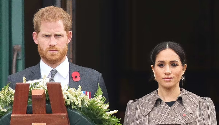 Prince Harrys ‘bombshell Memoir ‘vital For Meghan Markles Finances 