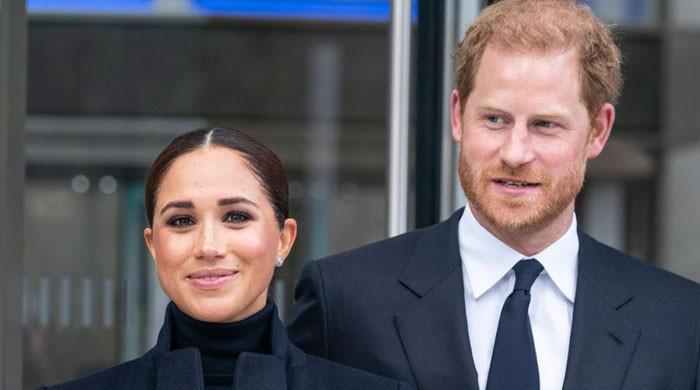 'Extremist' Meghan Markle should be 'ashamed' of 'behaving badly' with ...