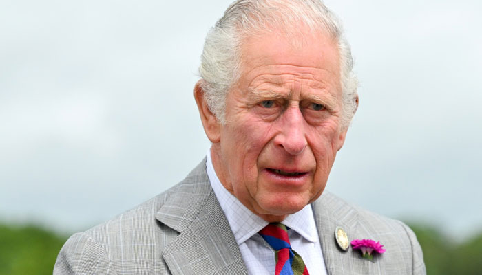 How Prince Charles was cooperative and charming in Diana death investigation