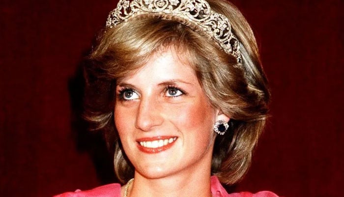 Princess Diana death was caused by 'drunk' driver: Report