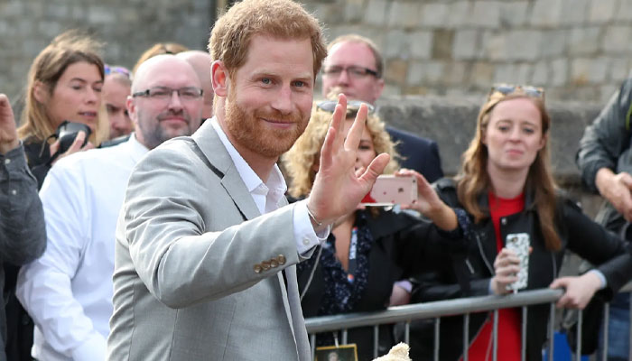 ‘Kindhearted’ Harry garners praises for being ‘the Prince without borders’