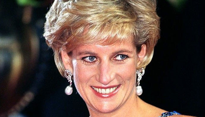 Princess Diana accident and unresolved 'missing car' theory: 'Not ...