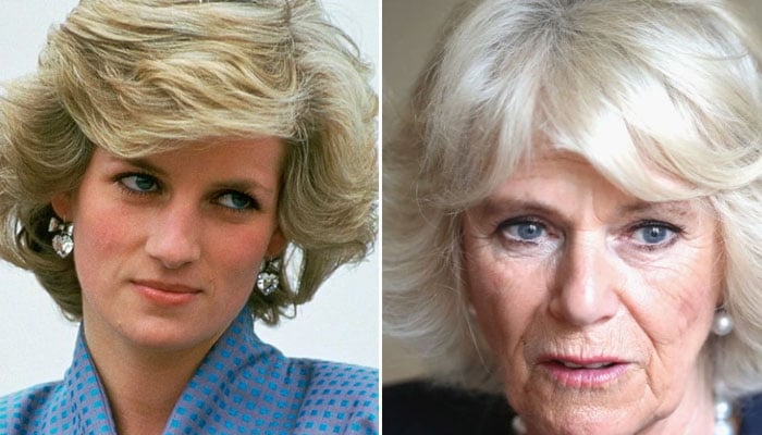 Camilla told Princess Diana 'you have everything' after she asked ...