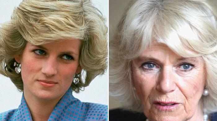 Camilla told Princess Diana 'you have everything' after she asked ...