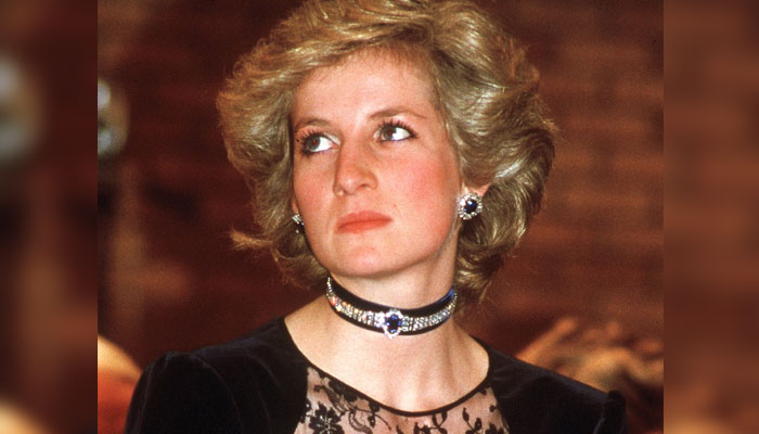 Princess Diana’s death no accident? Lawyer breaks silence on ‘unlawful killing’