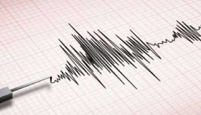 Tremors were felt in parts of Pakistan. — PTI