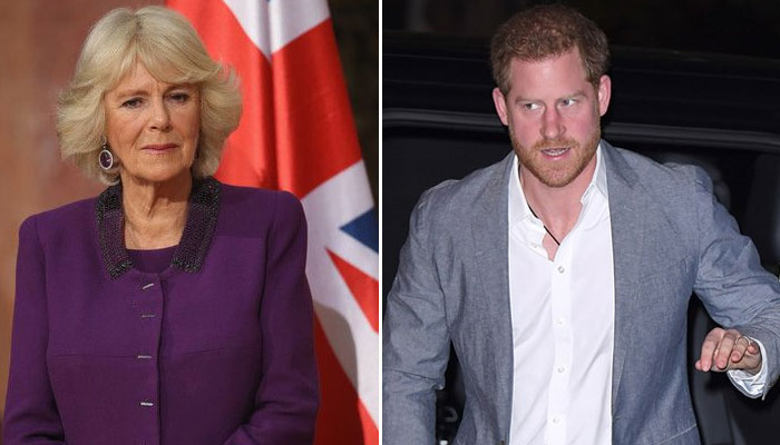 Duchess Camilla ‘fearful and in dread’ of Prince Harry: report