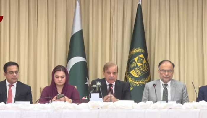 Forcefully fought Pakistan case before world: PM Shahbaz