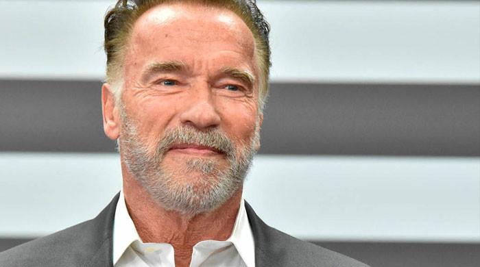 Arnold Schwarzenegger vows to ‘take up arms’ against hate