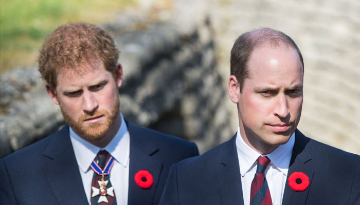 Prince William ‘mental health had been affected’ because of Prince Harry