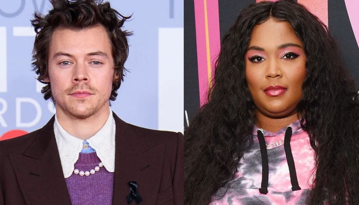 Harry Styles and Lizzo reunite in Chicago amid their tours