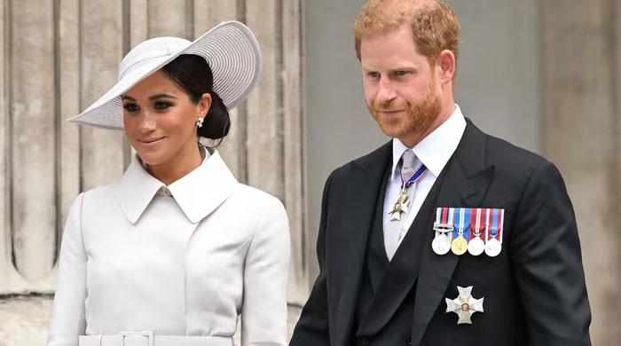 Prince Harry, Meghan Markle in ‘powerful co-dependency: ‘really sad’