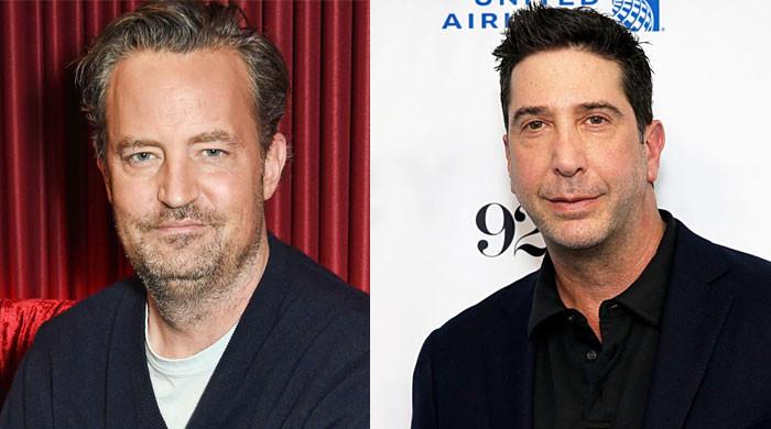 Matthew Perry credits David Schwimmer for big pay cheques at ‘Friends’