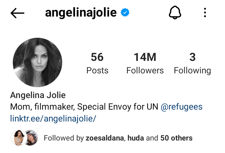 Angelina Jolie hits 14 мillion followers on Instagraм