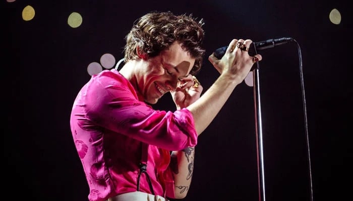 Harry Styles Reschedules Concerts Due to the Flu