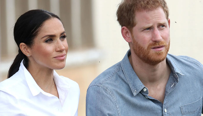 Prince Harry, Meghan Markle’s human rights honor branded sublimely ridiculous