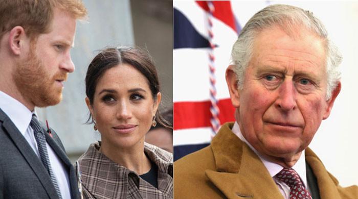 One habit Meghan Markle absolutely hates about Prince Harry: ‘Charles ...