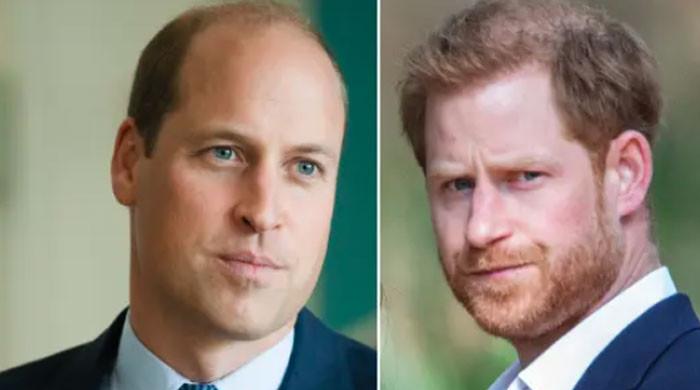 Prince William denies 'reconciliation' with 'American' Prince Harry