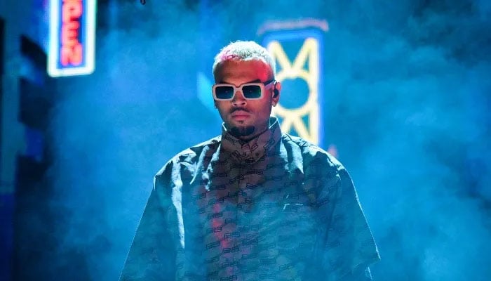 chris brown 2022 pictures