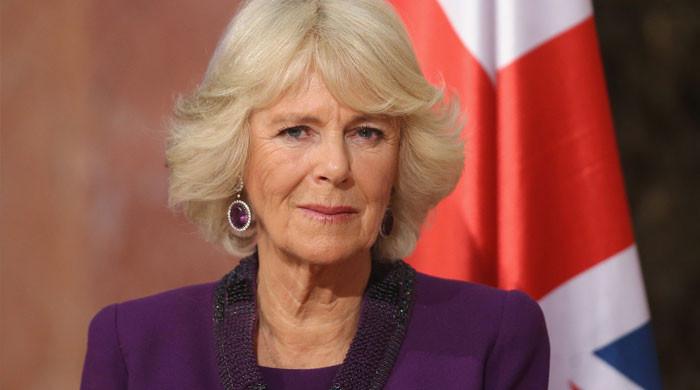 Queen Camilla unearthed as ‘racist royal’ behind Archie’s skin color ...